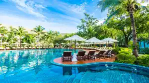 Beautiful resort swimming pool at a hotel, surrounded by palm trees and sun loungers.
