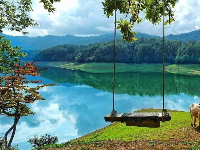 A peaceful wooden swing hanging from a tree, overlooking a calm, vibrant blue lake surrounded by lush green forests and rolling hills.