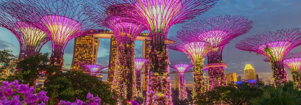 The illuminated Supertree Grove at Gardens by the Bay in Singapore, featuring towering, futuristic tree structures glowing with vibrant neon lights.