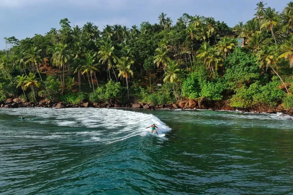 A surfer riding a wave in the ocean with a lush green tropical shoreline filled with palm trees in the background.