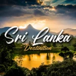 Scenic landscape banner of Sri Lanka featuring lush green forests, a calm lake reflecting the sunset, and mountains under a cloudy sky