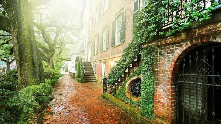 A sunny view of a historic brick walkway, ivy-covered brick buildings, and large trees in Charleston
